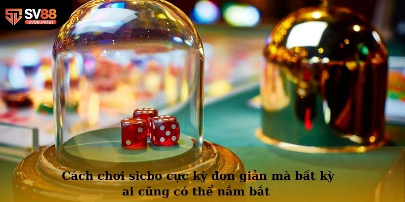 Cách chơi sicbo cực kỳ đơn giản mà bất kỳ ai cũng có thể nắm bắt