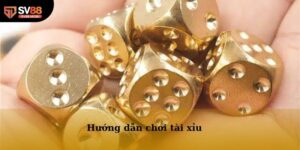 Hướng dẫn chơi tài xỉu