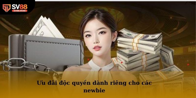 Ưu đãi độc quyền dành riêng cho các newbie