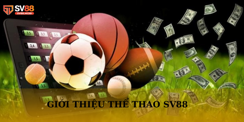 Thể thao SV88 là sảnh cược thu hút đông đảo người chơi tham gia